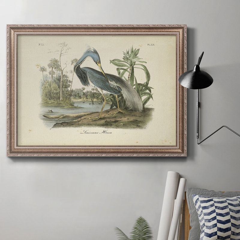 «Louisiana Heron» par John Audubon - peinture sur toile encadrée, H 16 po x l 20 po
