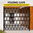 85'' H x 85'' W Metal Gate