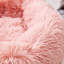Beignet Toccoa-1491960438-1491960439
