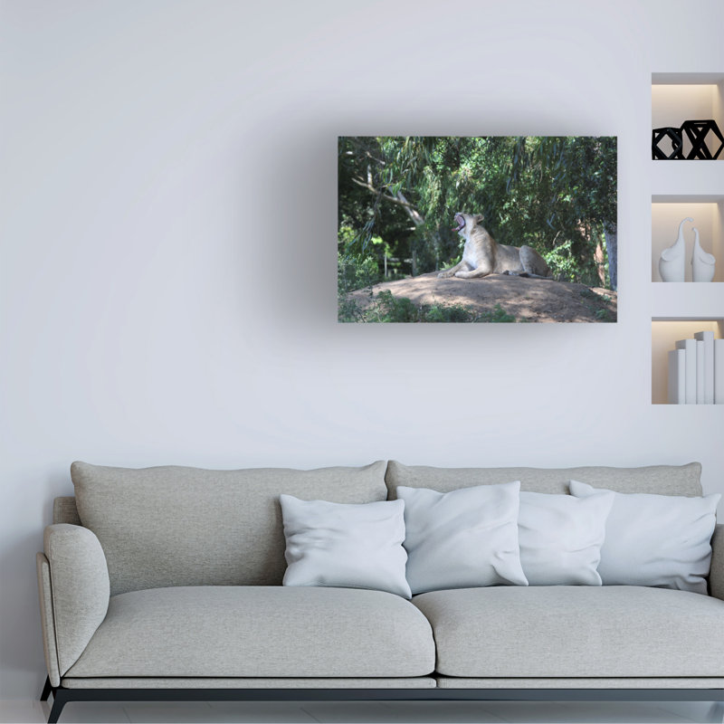 Art sur toile, «Bob Bob Langrish Nyala Antelope», H 12 po x l 19 po