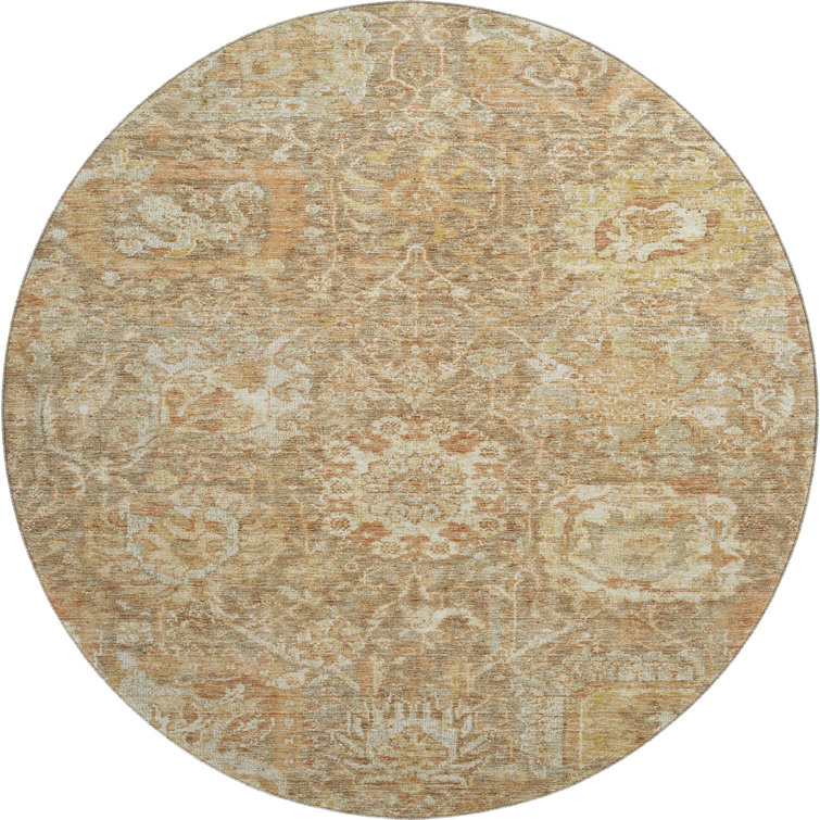 Premium Machine Washable Wayne AMF1101 Damask Rug