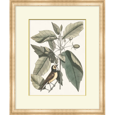 Summer Bird 4 Print
