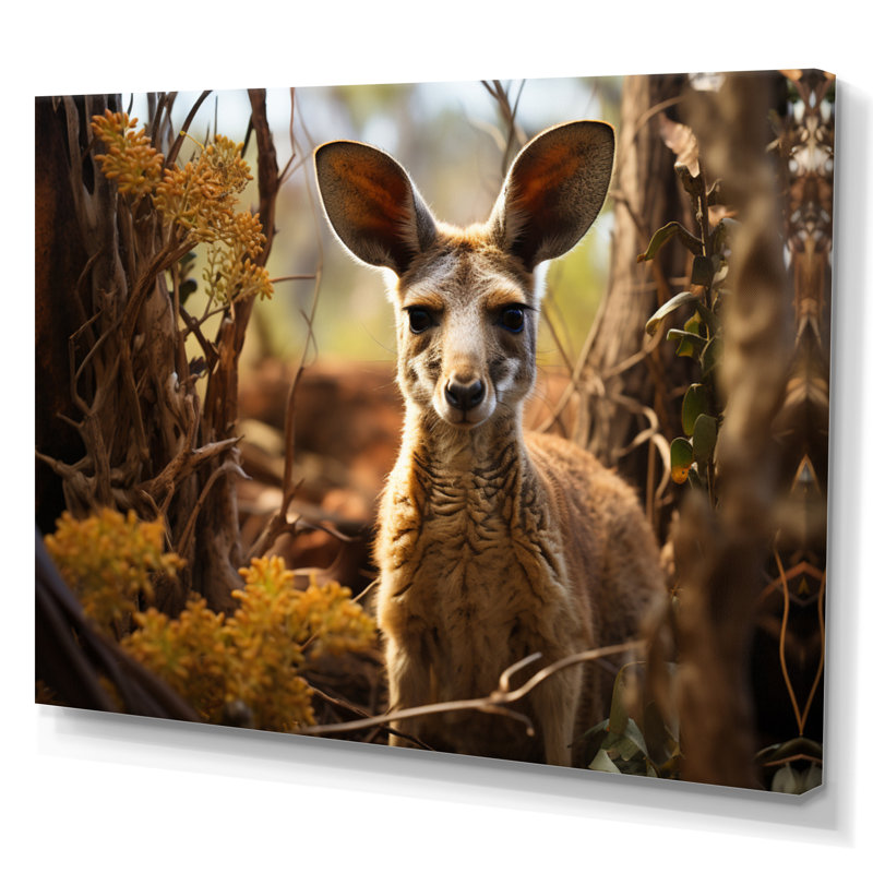 Kangaroo Portrait - Animals Canvas Art Print, 12" H x 20" W, Toile tendue