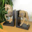 HORSE BOOKENDS 24cm Carved Wood Effect