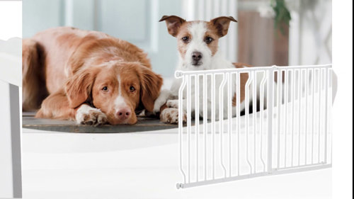 Tucker Murphy Pet™ Barrière murale pour animaux Rocky et Commentaires -  Wayfair Canada