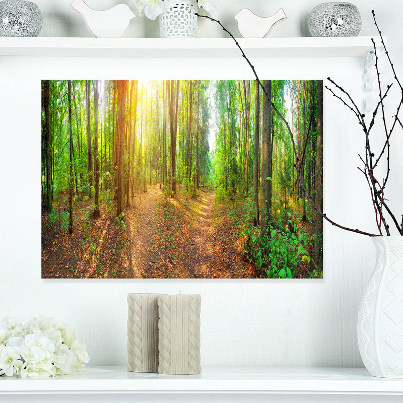 Dense Forest Panorama Abstract Landscape Canvas Print