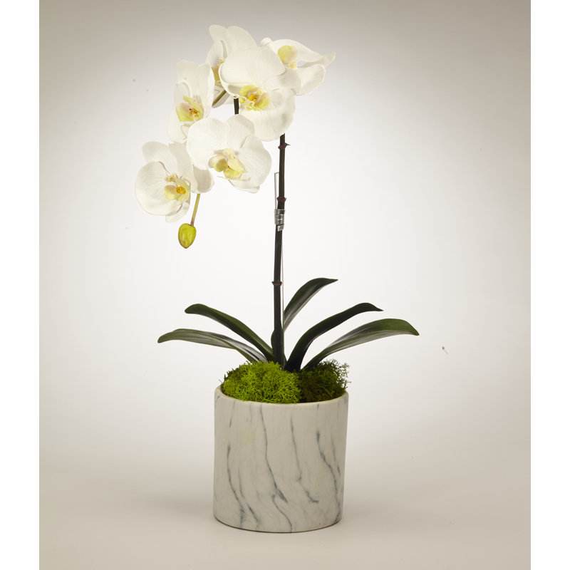 White Faux Orchid Arrangement in Marble Pot
