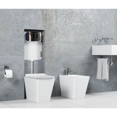 Low Level Toilet with Dual Flush