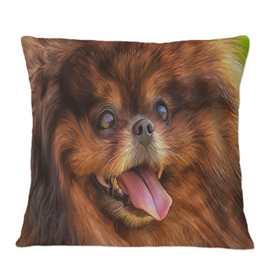 Throw Pillow