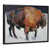 Black Frame selected
