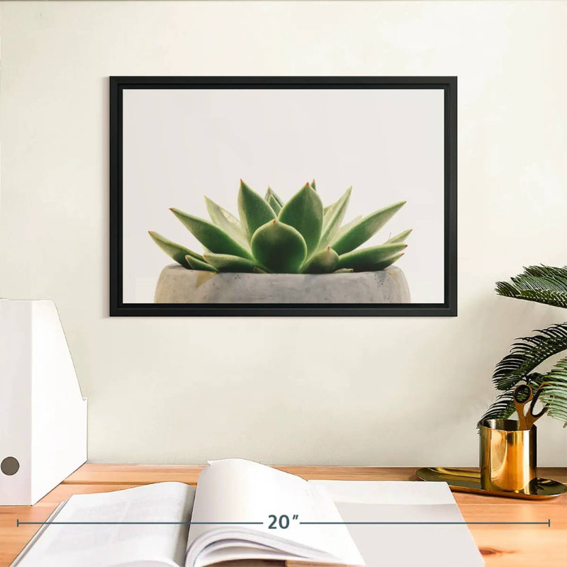 Plante grasse en pierre, Cadre flottant noir, 13 po x 9 po