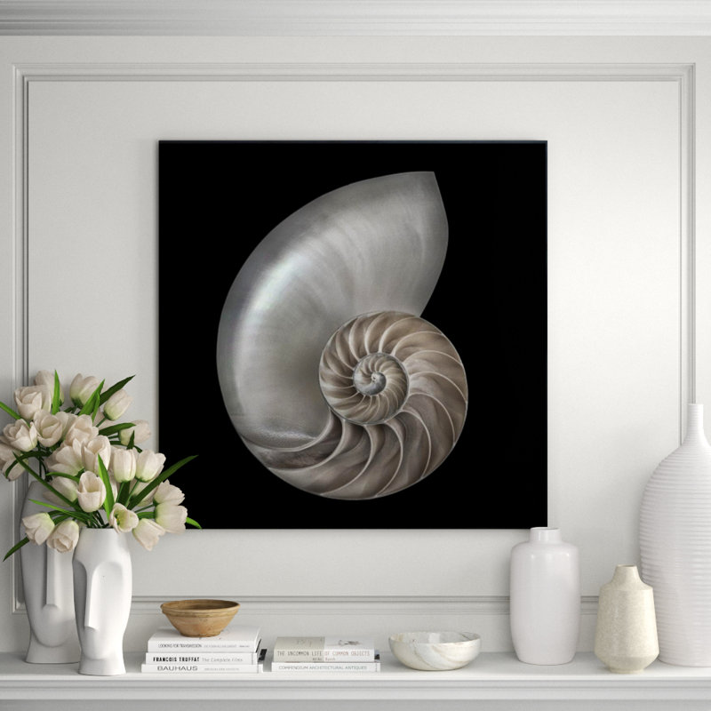 Nautilus Print by Harold Davis, 36" H x 36" W, Outdoor
