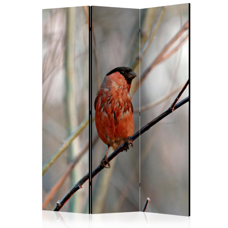 Nar 172cm H Solid Wood Folding Room Divider, 3