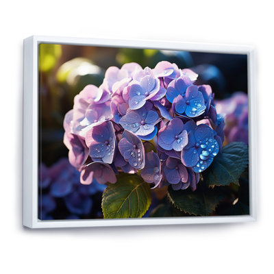 " Blue Purple Hydrangea Field I "