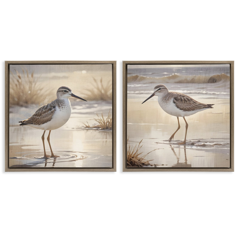 Ensemble de cadres flottants 2 pièces Sunlit Sandpipers Wading Shore, design par Susan Arnot, H 25 po x l 25 po