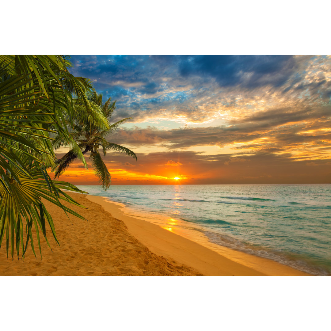 " Caribbean Beach " by Joseignaciosoto Highland Dunes 
