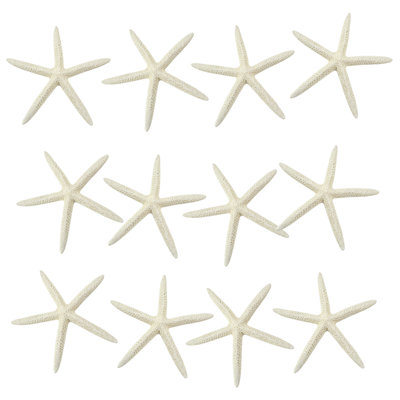 Schoenbeck Finger Starfish Set