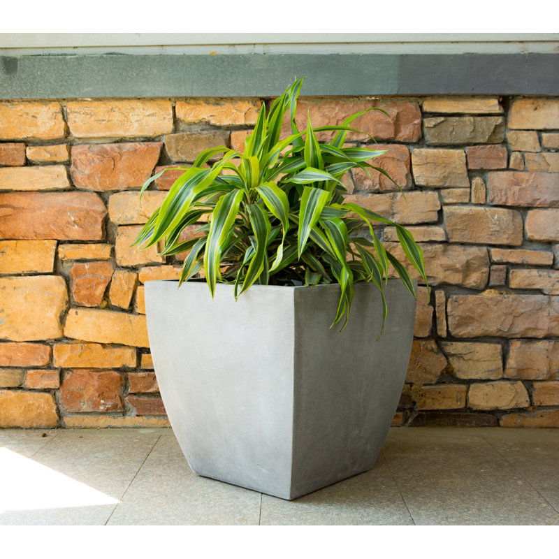 Jardinières en pot, H 18 po x l 18 po x P 18 po