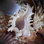 " Macro Shells II " by Rachel Perry