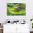 Kavia Moray Terraces-107887024