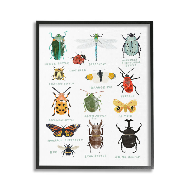 Educational Bug Types Framed Giclee Art by Hanna Melin, 20" H x 16" W, Farmhouse Gray Framed Giclee