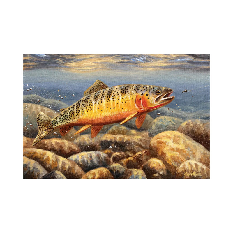 Cutthroat Trout2 by Cynthie Fisher - Wrapped Canvas Print, 20.32 cm H x 30.48 cm W
