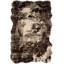 Losana Abstract Area Rug in Brown-931471127