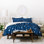 Heather Dutton Polyester Machine Printed Abstract Duvet Cover Set