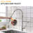 FLG Pull Down Kitchen Faucet