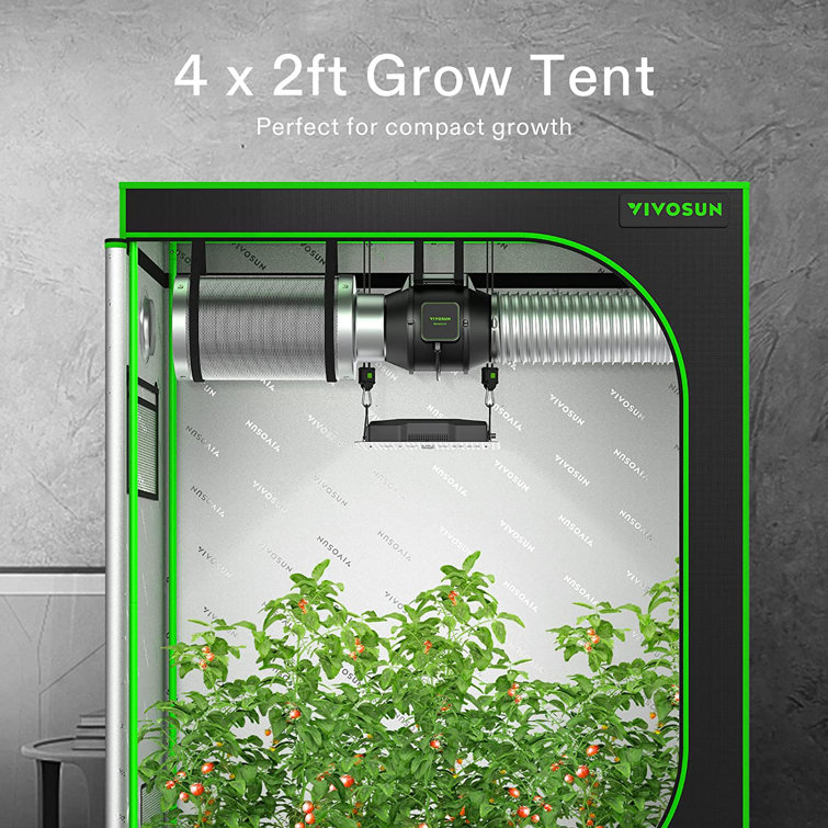 https://assets.wfcdn.com/im/45537990/resize-h755-w755%5Ecompr-r85/2429/242937460/High+Reflective+Mylar+Grow+Tent+with+Observation+Window+and+Floor+Tray.jpg