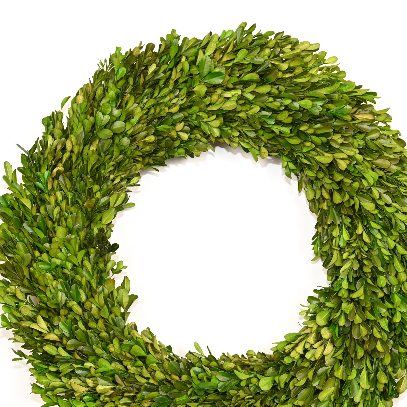 19" Handcrafted Boxwood No Holiday Wreath