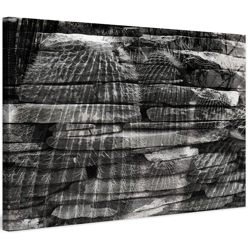 Parvez Taj - Wrapped Canvas Print, 41cm H x 61cm W