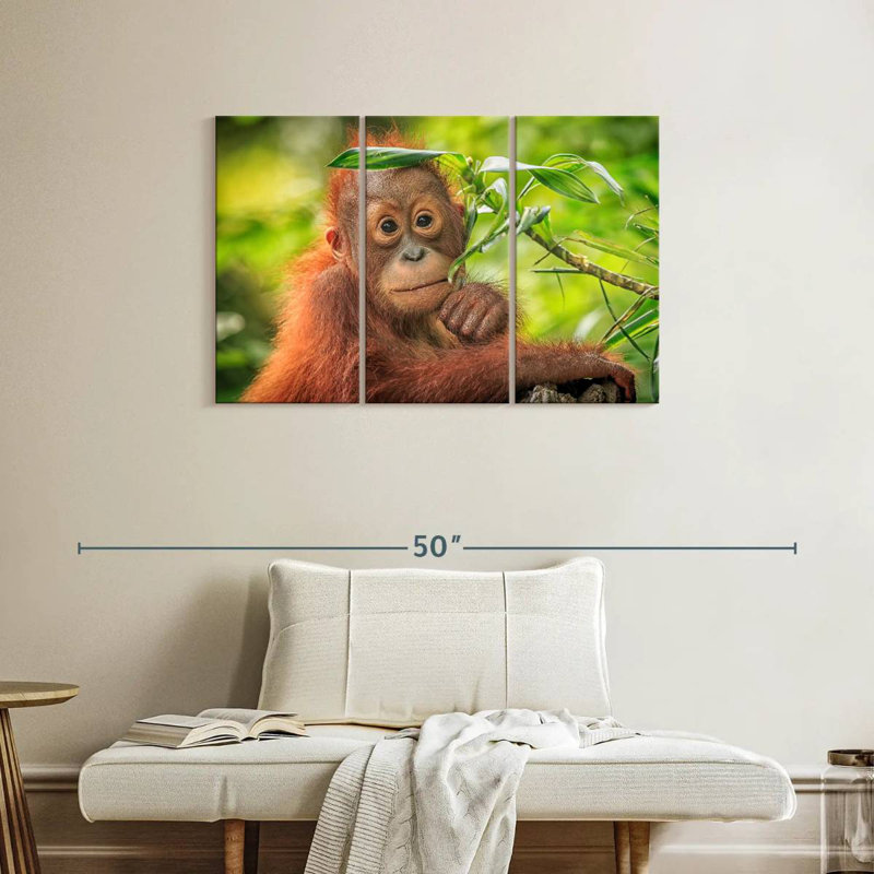 Brampt Leaf Munching Orangutan, 24" H x 38" W