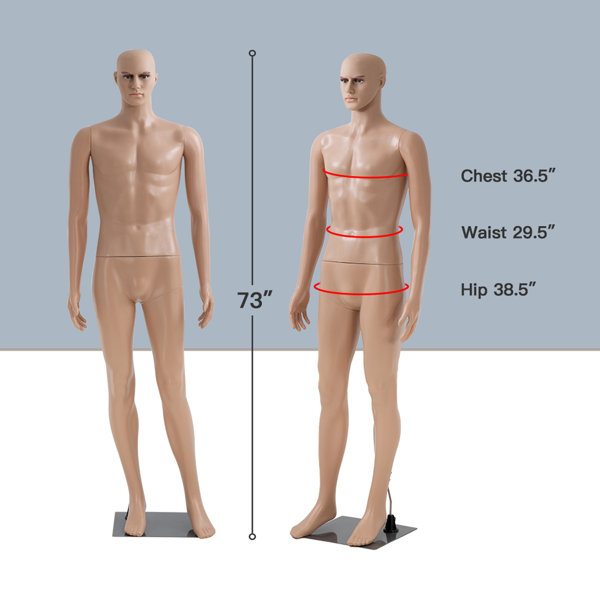 Shapes of hip protectors and pads placed on a male mannequin