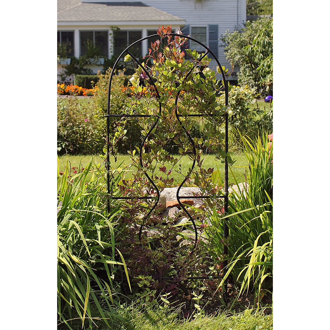 Zalina 65'' H x 24'' W Iron Arched Trellis Ebern Designs