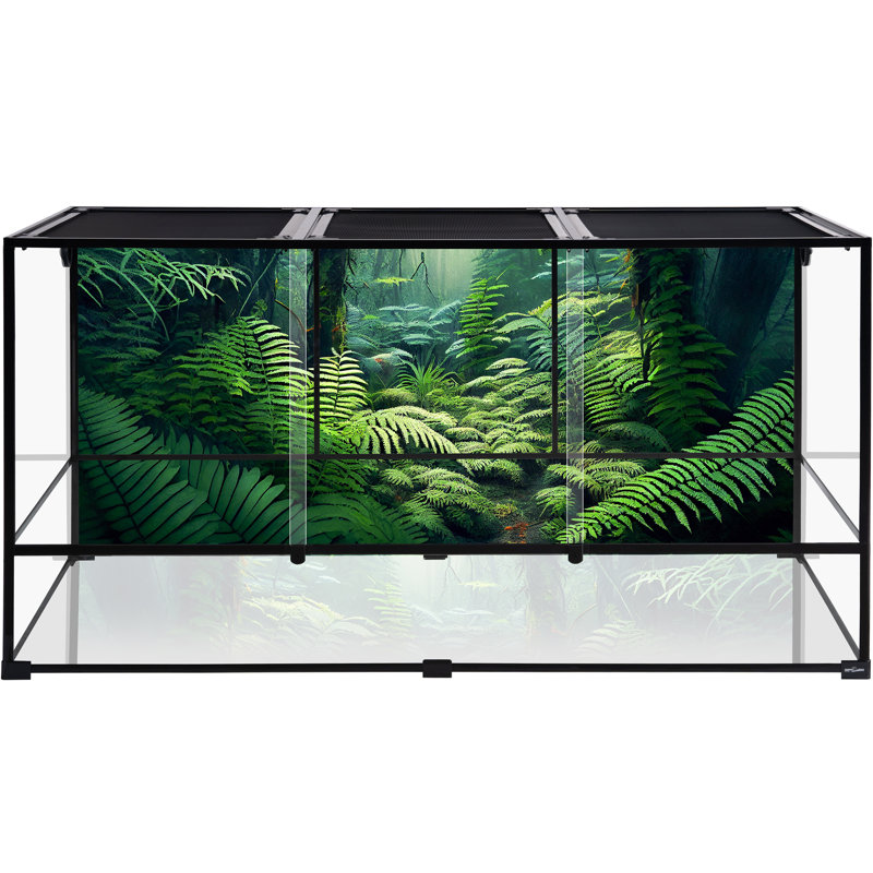 72'' x 36'' x 36'' Glass Reptile Terrarium