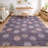 Machine Washable Indoor/Outdoor Chantille ACN2690 Kids Rug-567936323-567936332