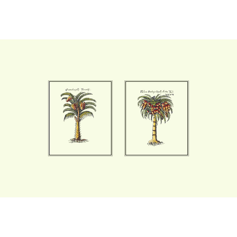 Palmier miniature II, H 8 po x l 12 po