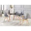 Evelin Plastic Dining Chairs with Solid Wooden Legs - Retro Side Chair for Dining Room Kitchen Living Room Office