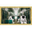 On The Bus Print by Thom Filicia