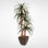 Faux Yucca Tree in Metal Pot