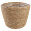 Cashaun Planter-1028848120