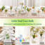 Glass Table Vase - Set of 10
