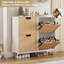 Amieleigh 40 Pair Shoe Storage Cabinet