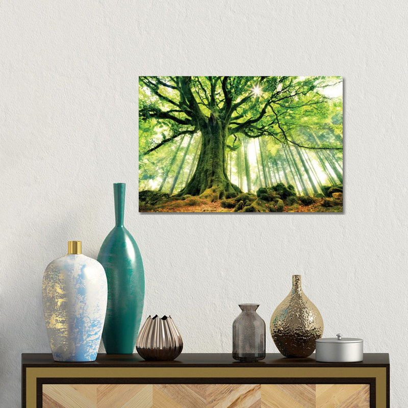 Ponthus' Beech 1 Piece Wall Art, 30.48 cm H x 45.72 cm W, Wrapped Canvas