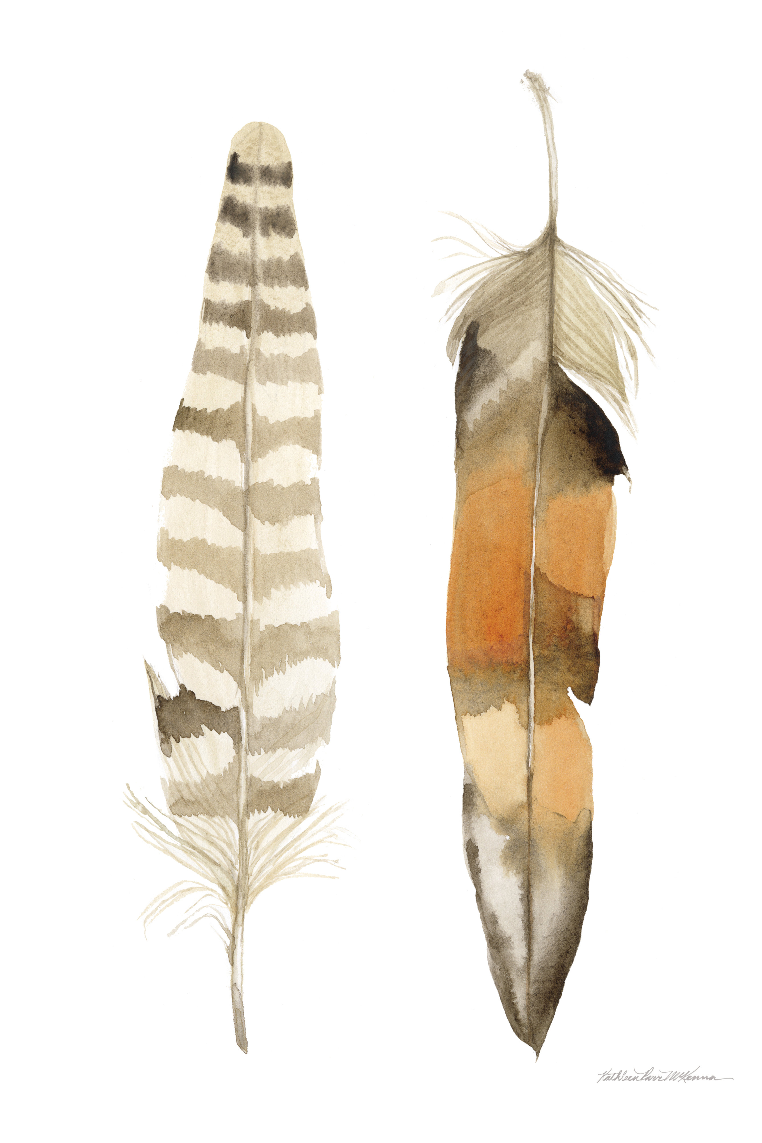 Gracie Oaks Natural Feathers II by Kathleen Parr McKenna - Wrapped ...