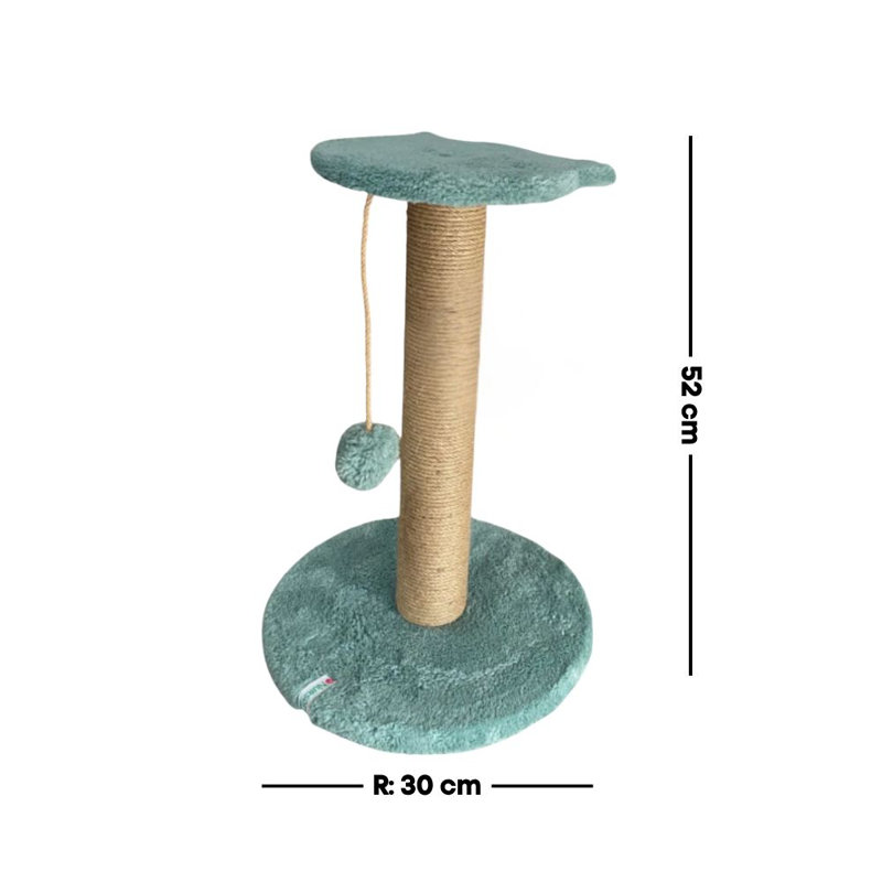 Grattoir pour chat, Turquoise