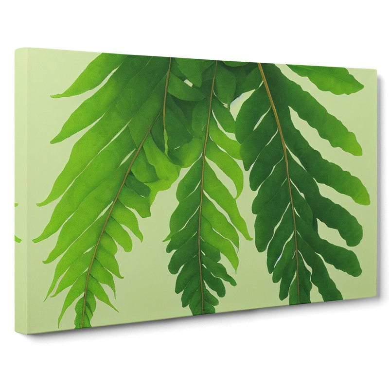Unusual Fern Leaf - Wrapped Canvas, 35cm H x 50cm W x 3cm D