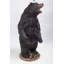 Statue d'ours debout grognant