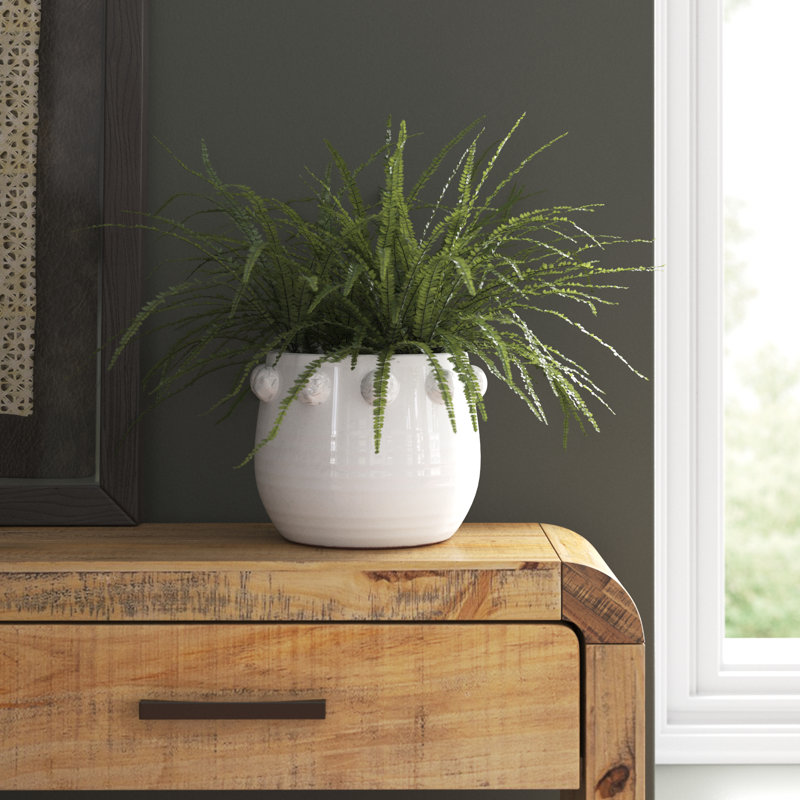 Round Terra‑Cotta Planter with Raised Dots Design, White